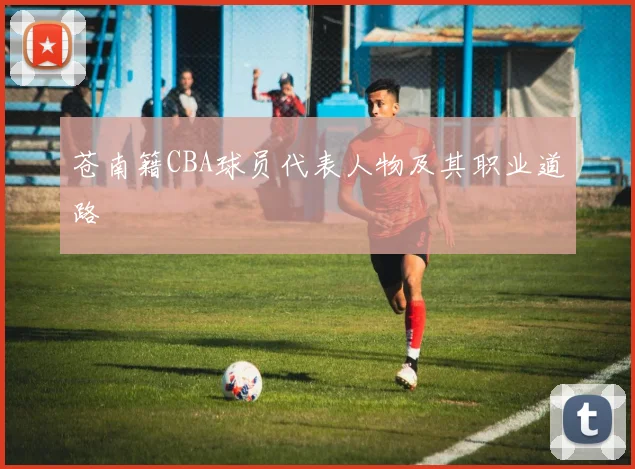 苍南籍CBA球员代表人物及其职业道路