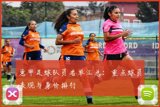 意甲足球队员名单汇总：重点球员表现与身价排行