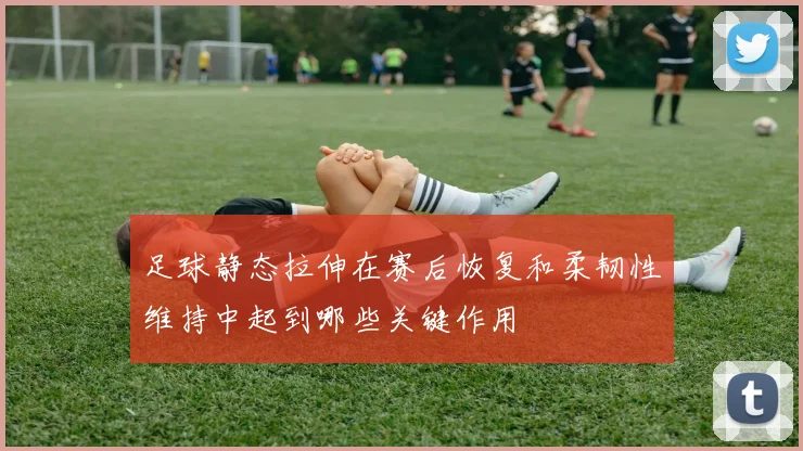 足球静态拉伸在赛后恢复和柔韧性维持中起到哪些关键作用