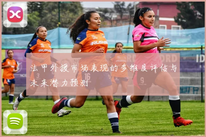 法甲外援市场表现的多维度评估与未来潜力预测